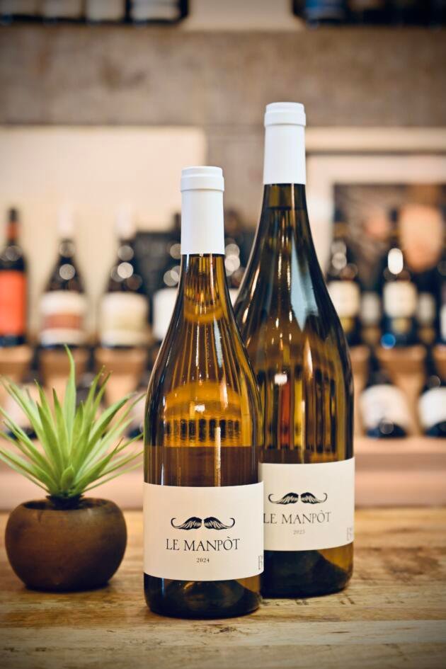 MANPOT BLANC - LANGUEDOC