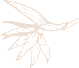 column vector 3 Wine Roots