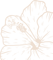 column vector 4 Wine Roots