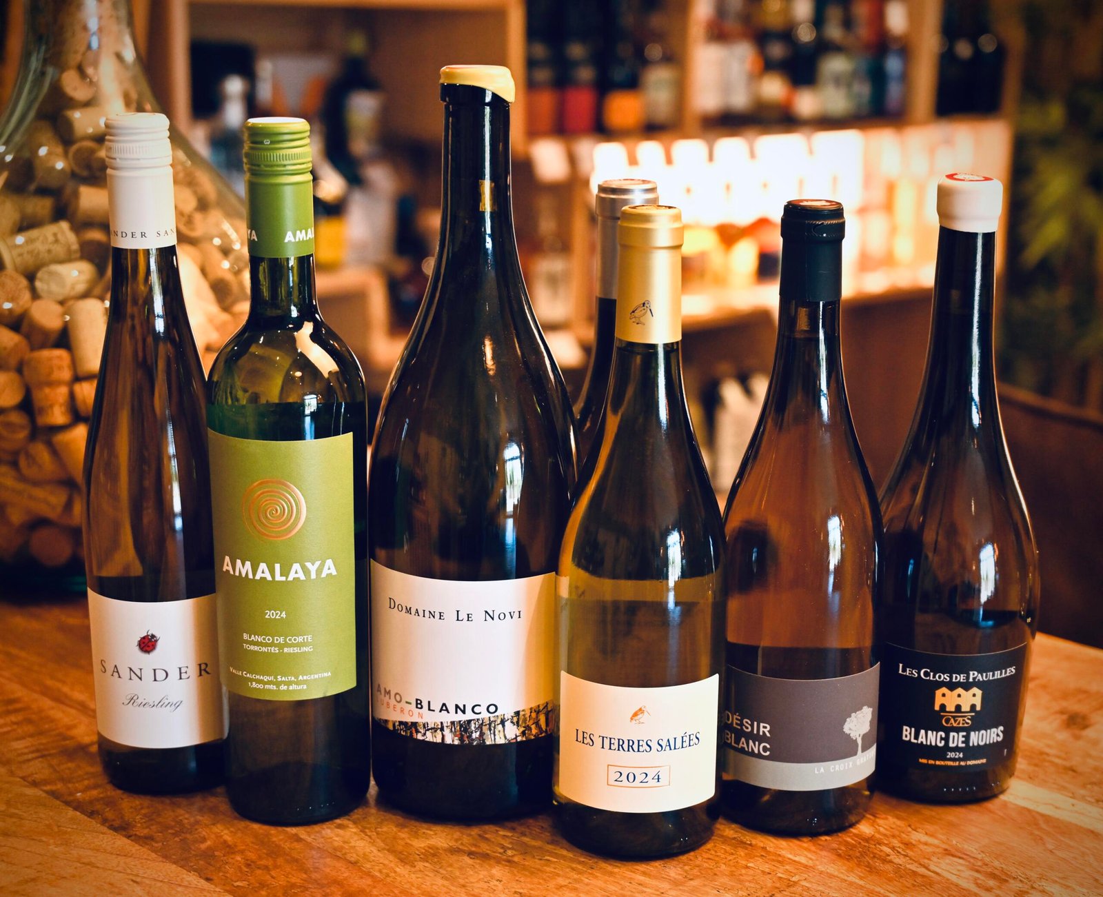 DSC 3162 2 scaled Wine Roots