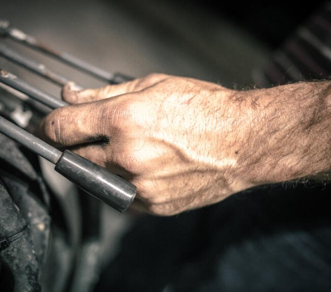 DSC 8085.3555 Wine Roots