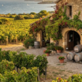 Agde et vins du Languedoc : escapade méditerranéenne depuis Wine Roots Servian